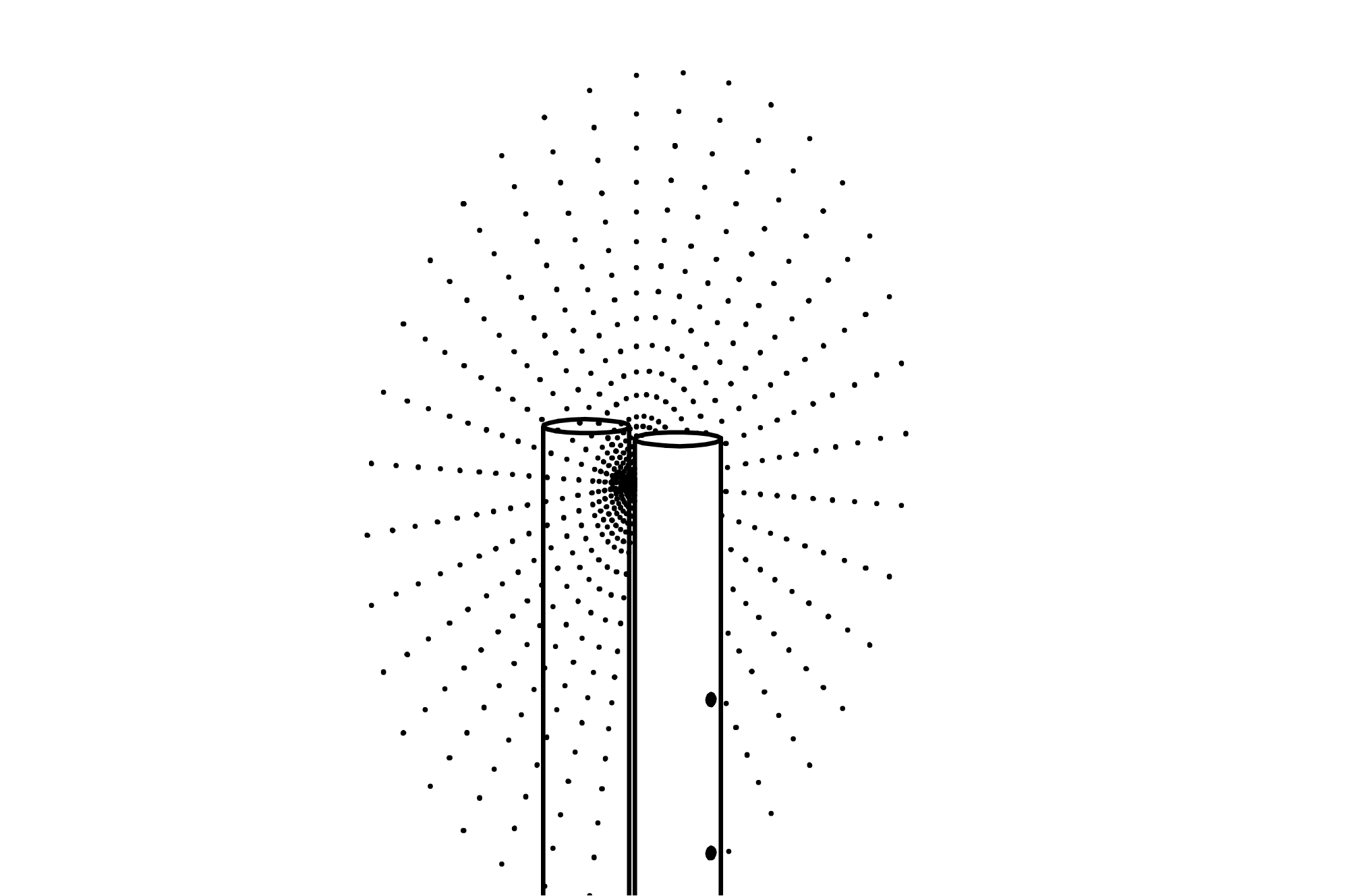 Low Collision Disc – Masts made of larch