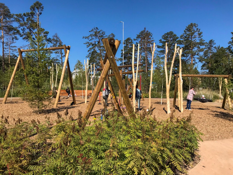 Nature Playground Slides