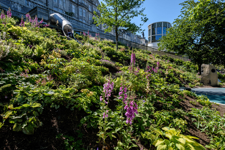 Timberplay Scotland Nominated For Best Public Place